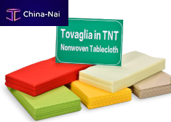 ��������, �����, �������� Foshan Rayson Non Woven Co.,LTD