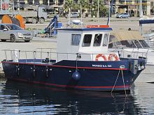 Pollution control boat Seaguardian 9/10inboardGRP