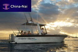 Inboard yacht tender Big Fishcenter consoleopensundeck