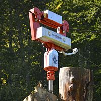 Cable transport carriage CRG 15-25for uphill and downhill logging