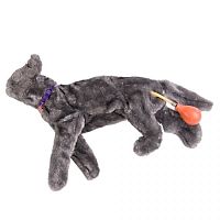 Veterinary training manikin FLUFFY CPRbandagingfeline