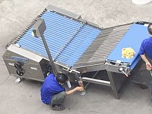 Biscuit sorting machine LB1000for the food industryautomaticbelt