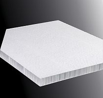Shock absorber honeycomb panel NIDAPLAST 8RIpolypropylene