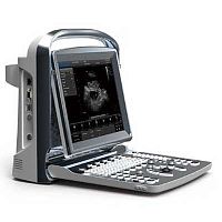 Portable veterinary ultrasound system Chison ECO1multipurposefor equinesfor sheep
