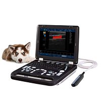 Portable veterinary ultrasound system M8multipurposecolor doppler