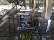 Bell pepper pitting machine TJP