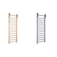 Rehabilitation wall bars FI.105045