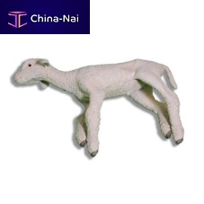 Veterinary training manikin sheepwhite