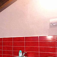 Protective paint PITTURA ANTIMUFFAinsidefor wallfor industrial buildings