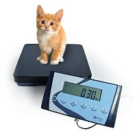 Electronic veterinary weighing scale APSwith LCD displayplatformcolumn