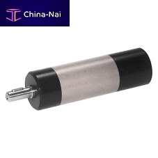Vane air motor R seriessteelflange
