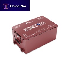 Lithium iron phosphate battery OnePack48 Vfor electric vehiclesmaintenance-free