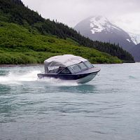 Inboard center console boat LYNX V8dual-consolesport-fishing
