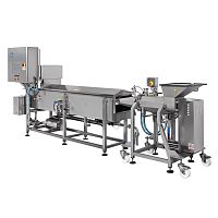 Food extrusion line