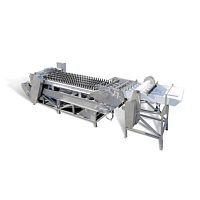 Fruit pitting machine apricot