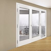 Swing French door SCREENsteeldouble-glazedsecurity
