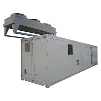 IQF freezer processfish