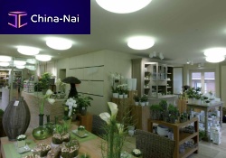 Contemporary ceiling light UFOroundglassfluorescent
