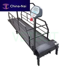 Dog veterinary treadmill 252.1