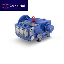 Plunger pump EHP-3K 110waterelectricself-priming