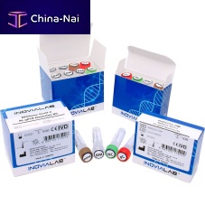 Corona detector INOGene-SCoV-2 RT-qPCRprobefor medical applications