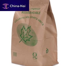 Biodegradable bag paper