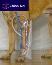 Paw veterinary splint for caninesinflatable