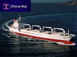 Reefer cargo ship SALICA FRIGOBureau Veritas