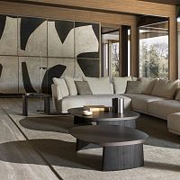 Contemporary coffee table CLEOoakeucalyptusoak base
