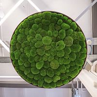 Wall-mounted acoustic panel G-CIRCLESpreserved mosspreserved plantsround