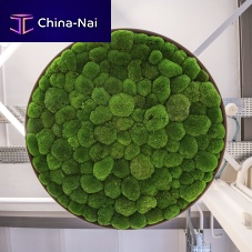 Wall-mounted acoustic panel G-CIRCLESpreserved mosspreserved plantsround