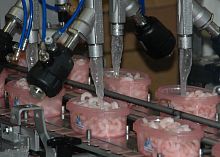 Cheese brine injector machine shrimp