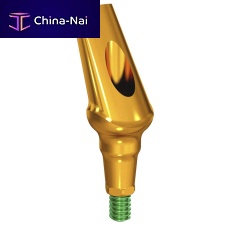 Titanium implant abutment Rootformconicalangledanatomical