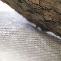 Indoor mosaic tile TESSERAEwallfloorglass
