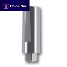 Cylindrical implant abutment TMNIc-EStitaniuminternal hexagonstraight