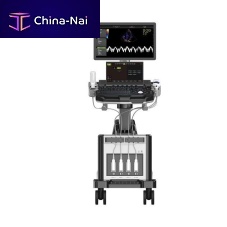 On-platform ultrasound system GT8for gynecological and obstetric ultrasound imagingfor multipurpose ultrasound imagingfor colorectal ultrasound imaging
