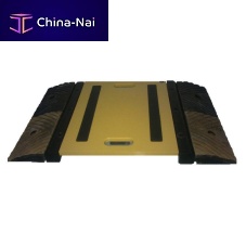 Axle scale IDS889 series