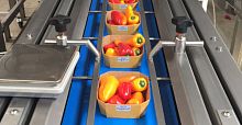 Automatic packing machine continuous-motionline-typefor the food industry