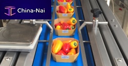 Automatic packing machine continuous-motionline-typefor the food industry
