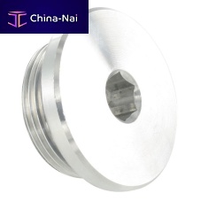 Cylindrical plug 8231 00 seriestoroidalhexagonalthreaded