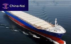 Container ship cargo ship