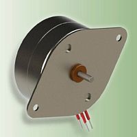DC motor 119-1 seriesstepper24 V12 V