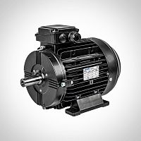 3-phase motor SSWEA seriesasynchronous400 VIP55