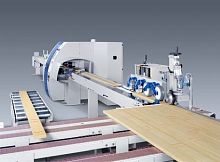 Panel saw OptiCut 450 Quantumwoodautomatic