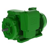 Cast iron frame motor W22 seriesthree-phaseasynchronousIP55