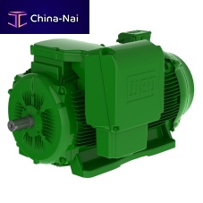 Cast iron frame motor W22 seriesthree-phaseasynchronousIP55