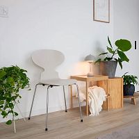 Contemporary chair ANT indoorwood veneerelm