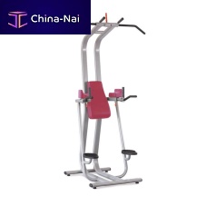 Leg raise chair with pull-up bar FIT EVO 1FE211
