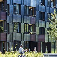 Standard architectural glass ORNAMENT safetystructuralinsulating