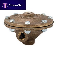 Electric valve actuator DP-1pneumaticscrew